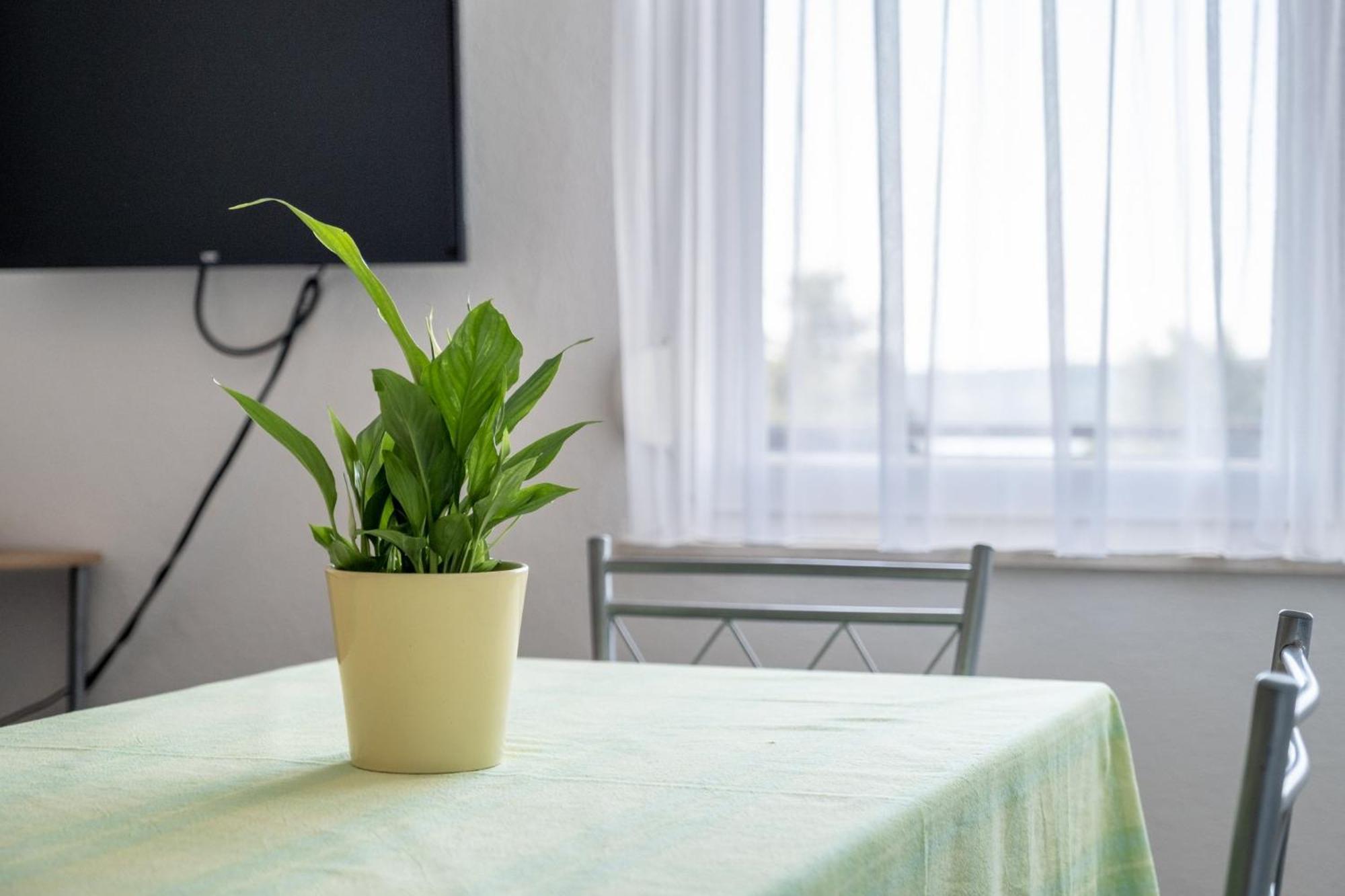 Apartments Mimi Trogir Room photo